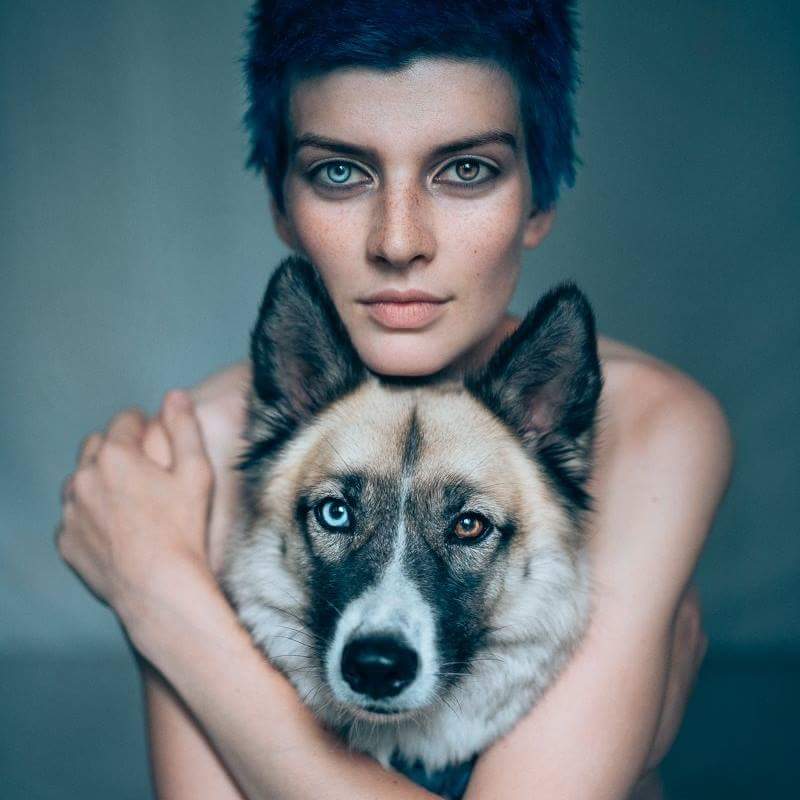 800x800, 47 Kb / собака, девушка, взгляд, разноцветные глаза, гетерохромия