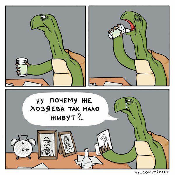 600x600, 66 Kb / черепаха, будильник, хозяева, 1920