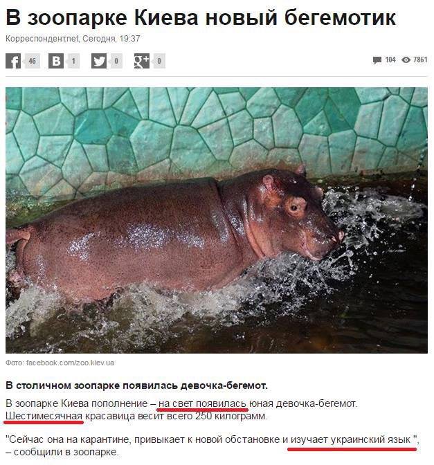 627x672, 116 Kb / бегемот, украина, в мире животных, политота?