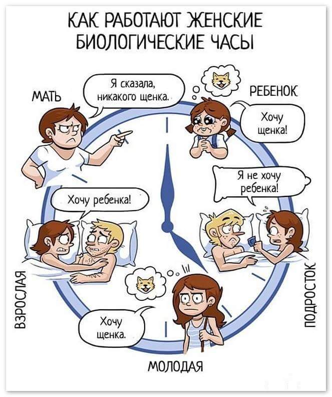 663x792, 65 Kb / женский, цикл, щенок, ребёнок, часы