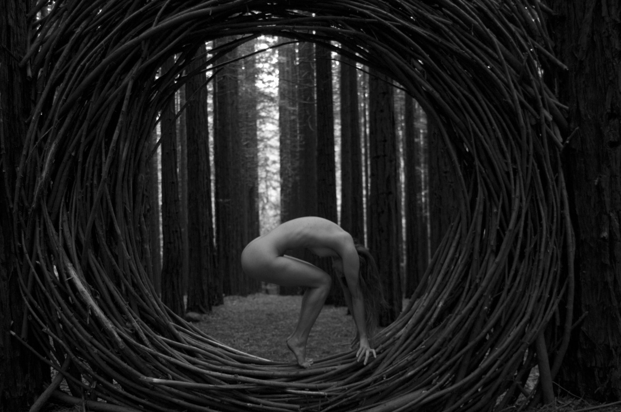 1280x848, 225 Kb / ч/б, голая, прутья, лес