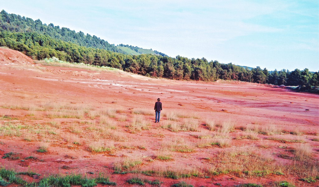 1024x600, 267 Kb / красное, поле, лес, почва