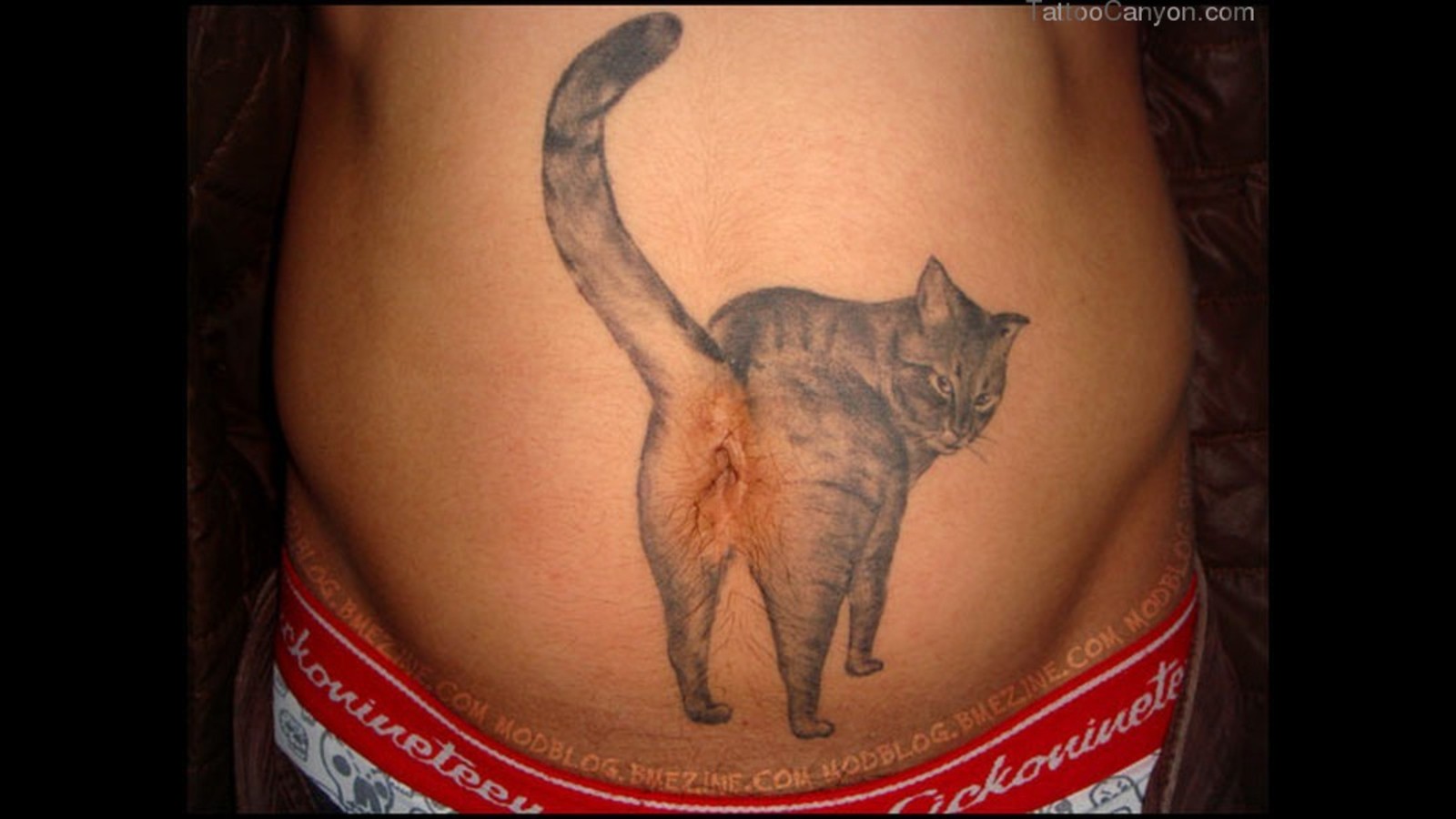 1600x900, 150 Kb / пузо, пупок, тату, кот, жопа