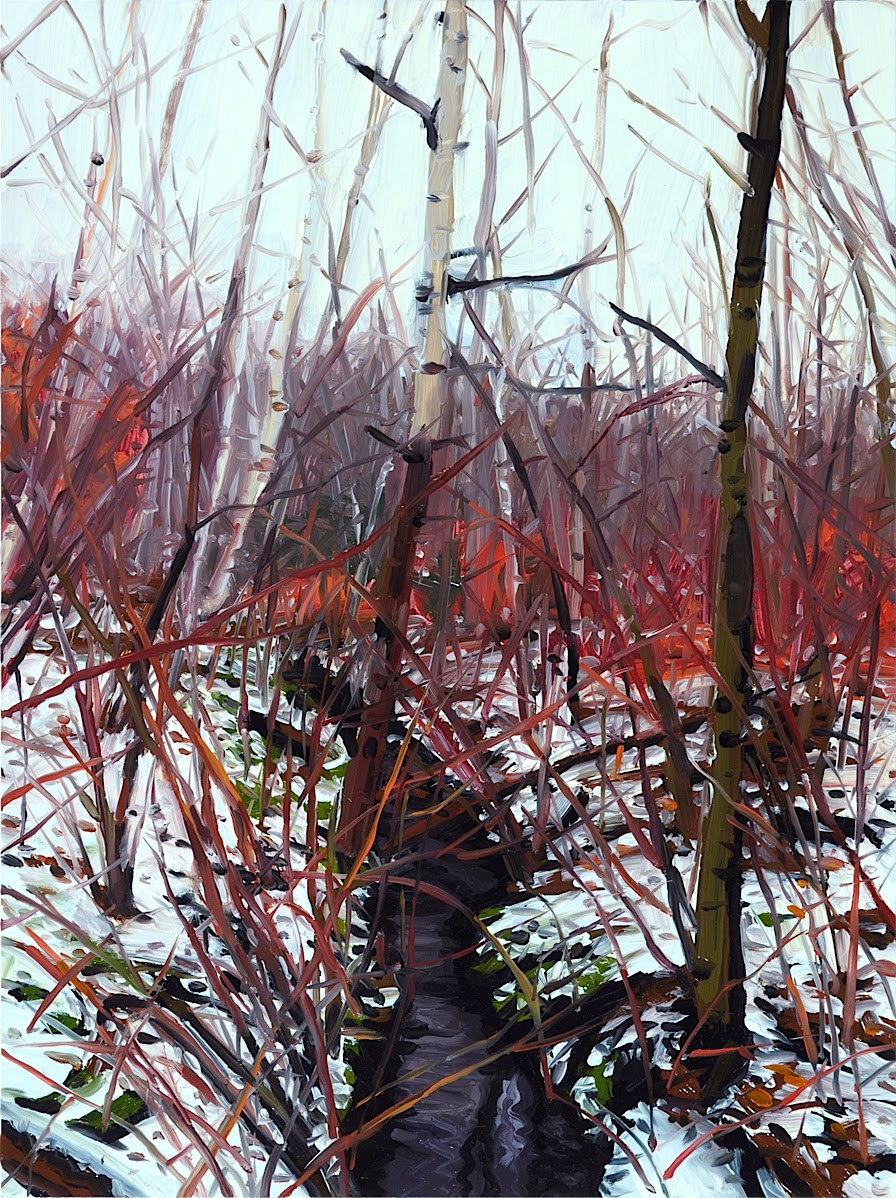 896x1198, 398 Kb / ручей, снег, березы