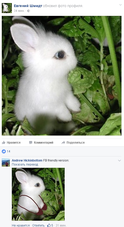 493x901, 232 Kb / Отто, юзерпик, комментарий, цензура