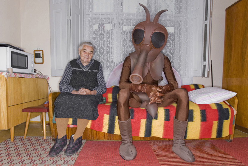 832x555, 150 Kb / комар, бабушка, свч