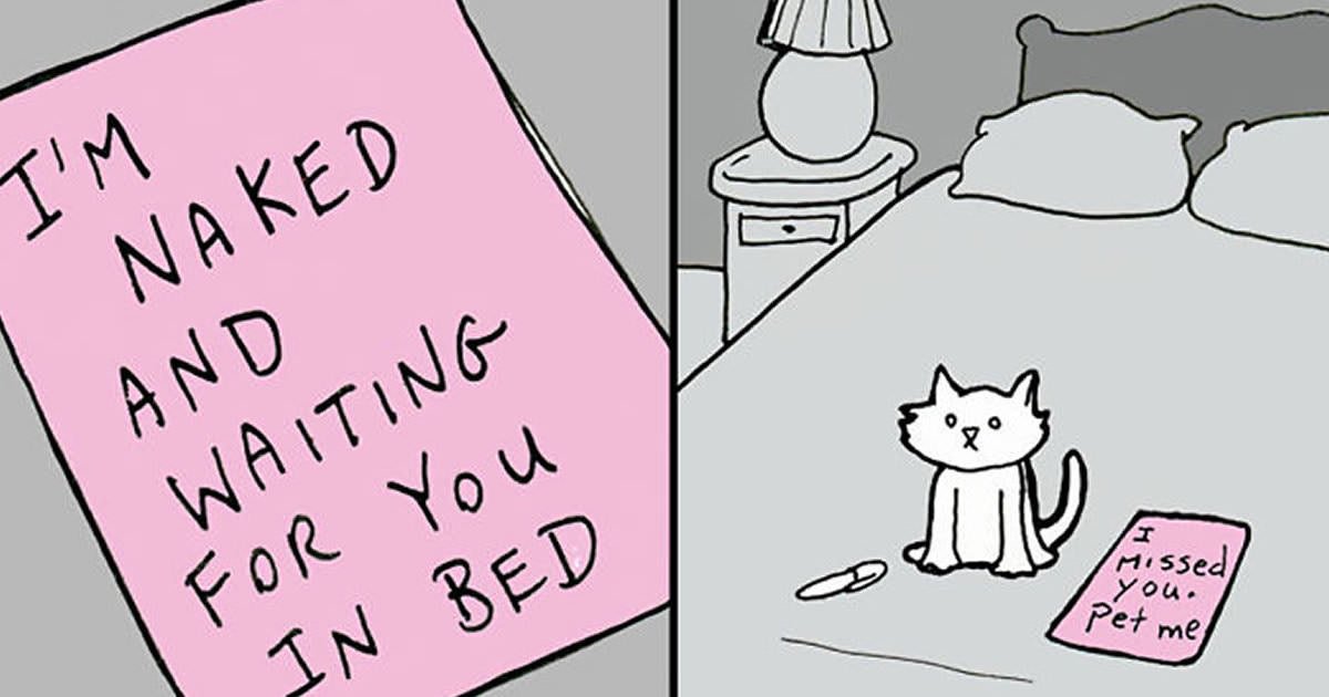 1200x630, 66 Kb / кошка, постель, лампа, записка