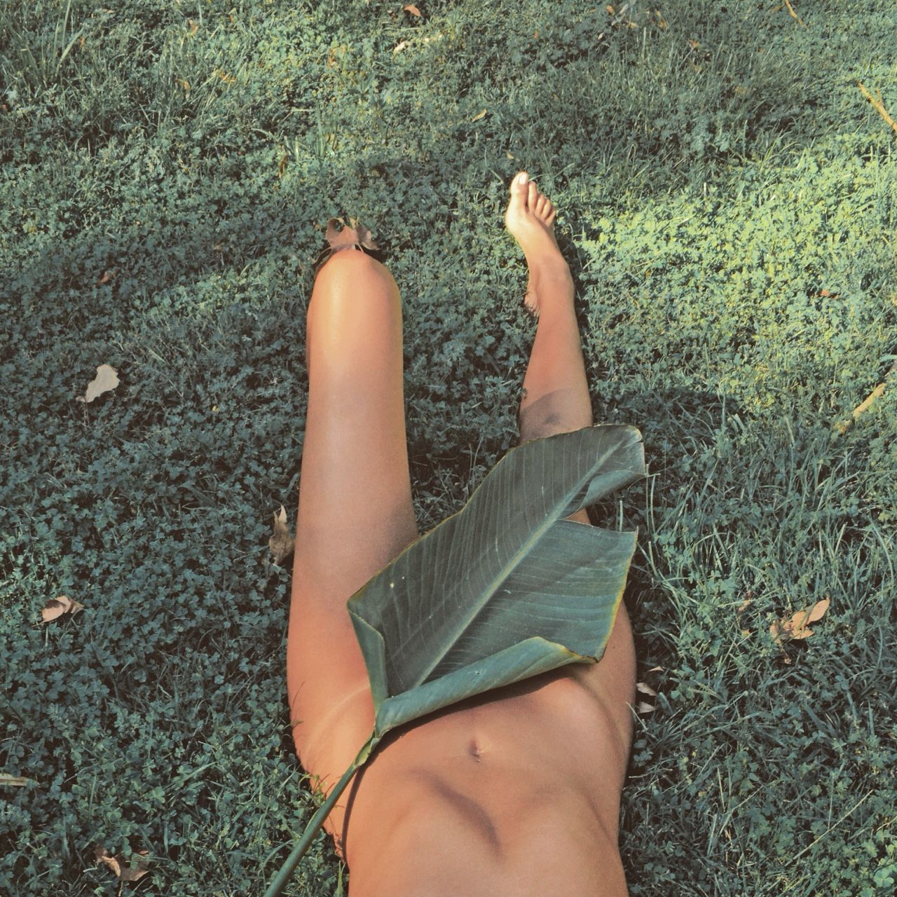 1280x1280, 390 Kb / лист, голая, трава, ноги