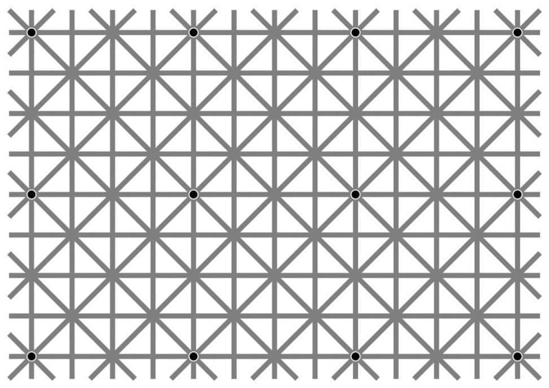 800x565, 97 Kb / иллюзия, сетка