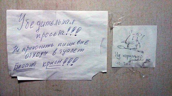 600x337, 34 Kb / Записка, крысы, отходы, туалет