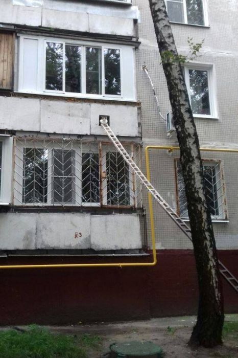 466x700, 60 Kb / кот, лестница, балкон