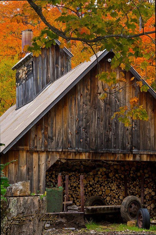 534x800, 137 Kb / дрова, сарай, осень, шины, колеса