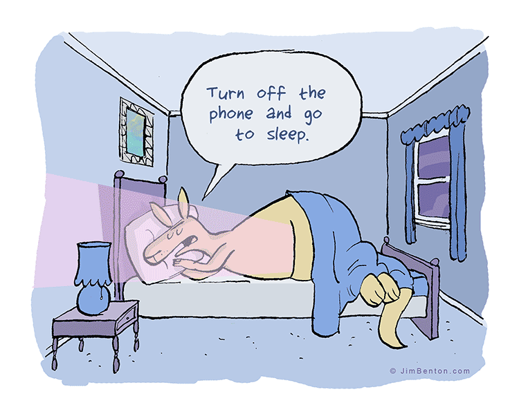 750x596, 104 Kb / кенгуру, телефон