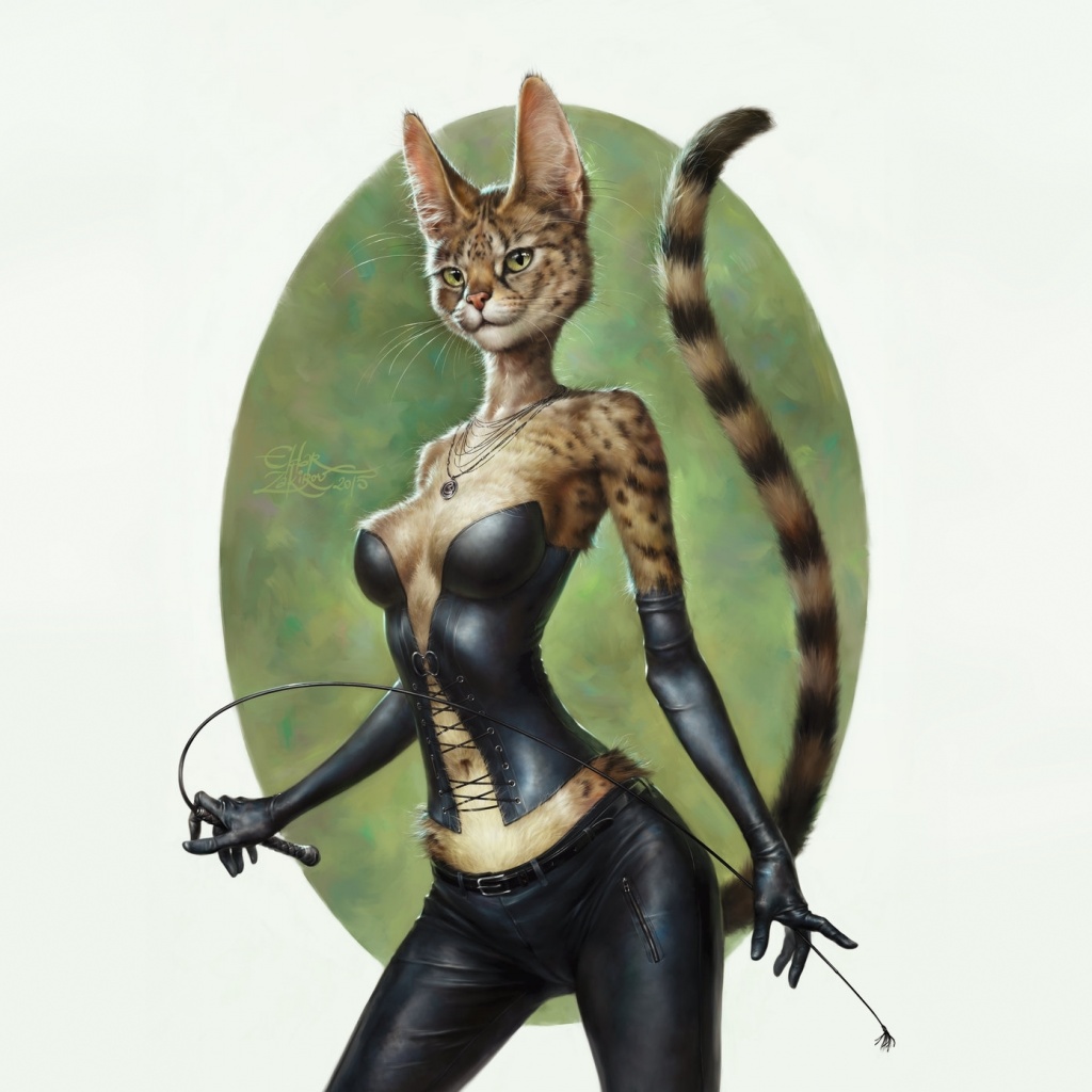 1024x1024, 188 Kb / корсет, кнут, кошка