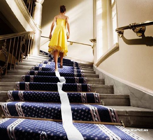 521x476, 57 Kb / девушка, лестница, туалетная бумага