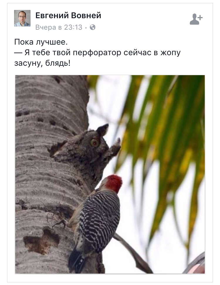 750x971, 124 Kb / Сова, дятел