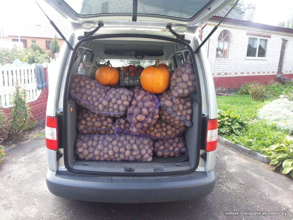 1024x768, 138 Kb / продажа, авто, Белоруссия, картошка