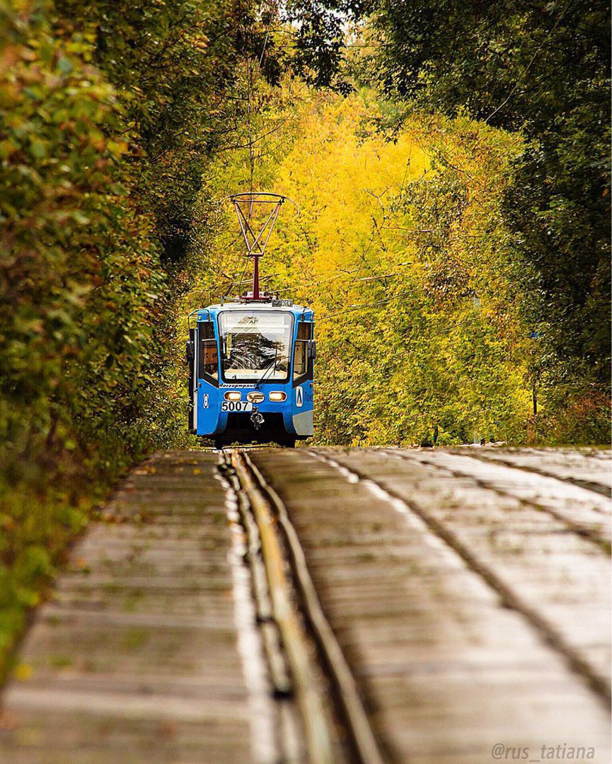 865x1080, 281 Kb / трамвай, осень