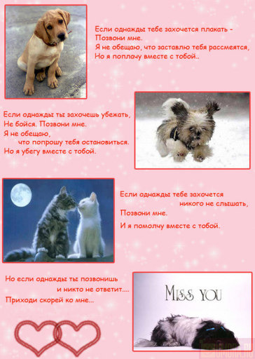 364x512, 68 Kb / любовь