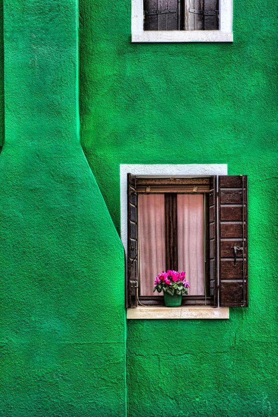 564x846, 140 Kb / стена, зеленая, окна, ставни, горшок, цветы