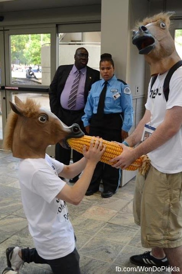 620x933, 179 Kb / маска, лошадь, кукуруза, минет, полицейский