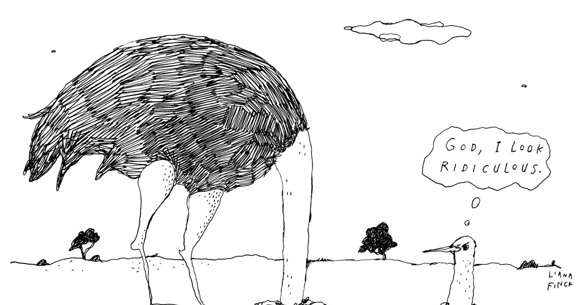 1200x630, 112 Kb / страус