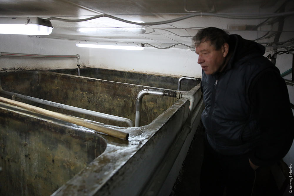 1000x667, 84 Kb / пивзавод, бавария, великий устюг, срач