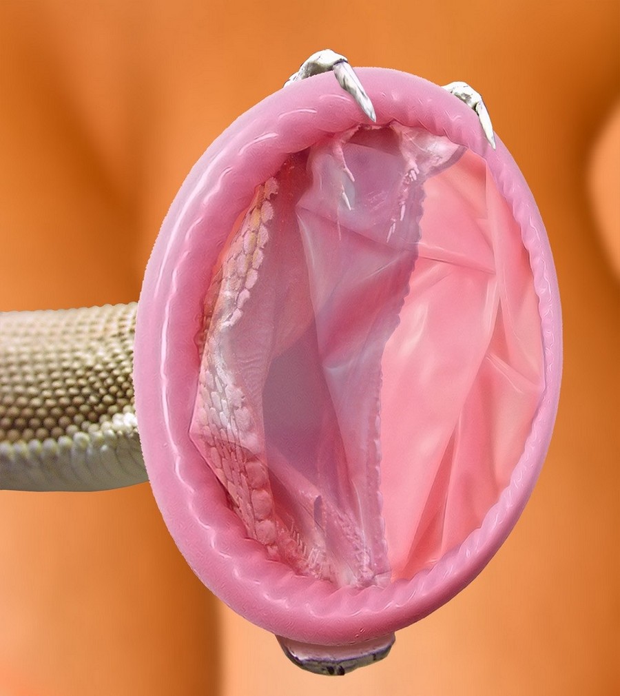 900x1010, 137 Kb / презерватив, змея