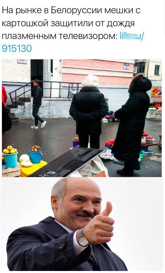 653x1080, 142 Kb / картошка, мешки, телевизор, Лукашенко