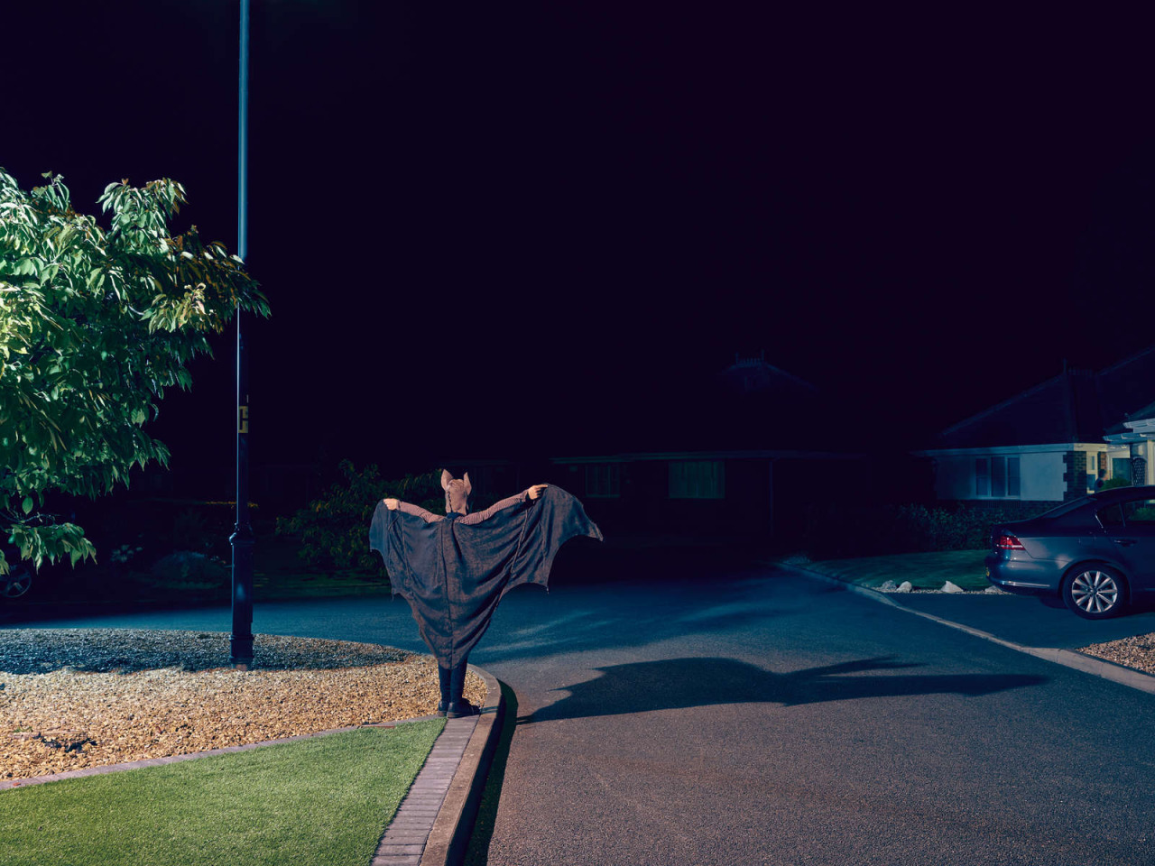 1280x960, 321 Kb / бэтмен, летучая мышь