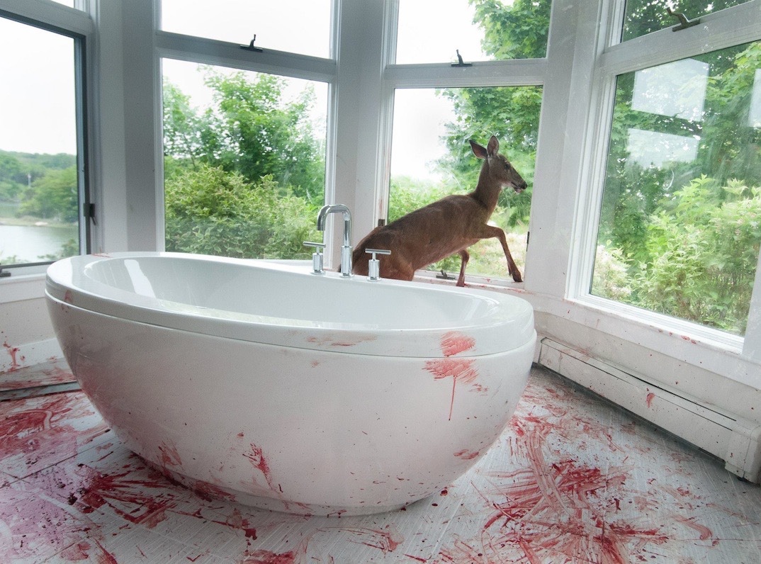 1074x796, 354 Kb / ванная комната, ванна, олень, кровь
