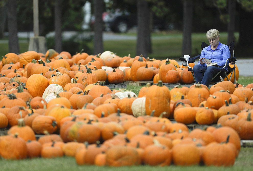 990x671, 162 Kb / тыква, оранжевый, витамины, кресло, книга, очки