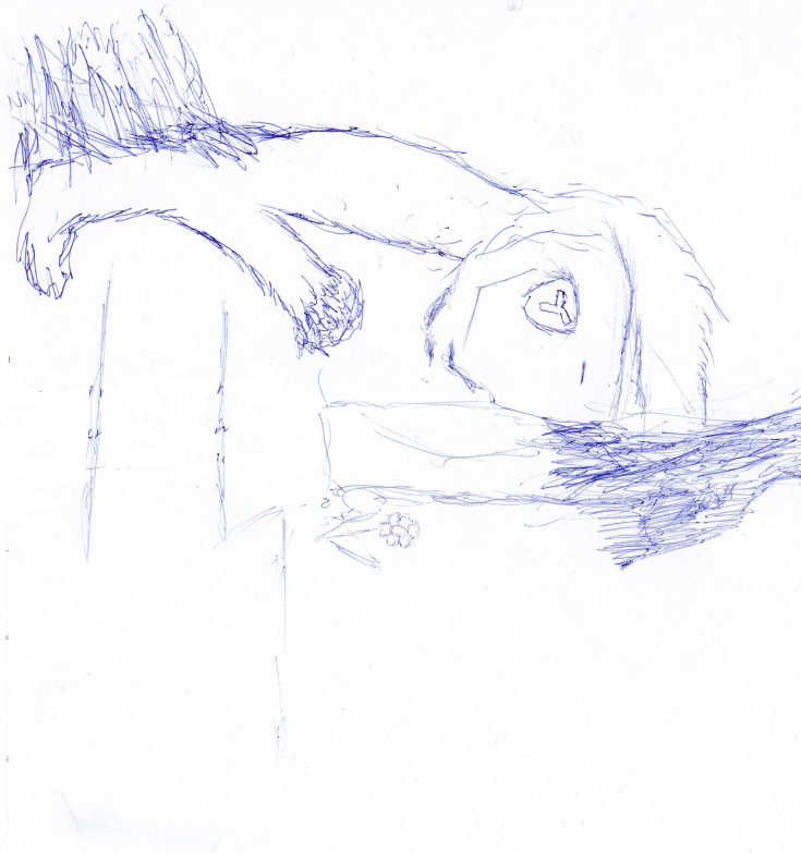 735x783, 542 Kb / не сразу, левая, рисунок