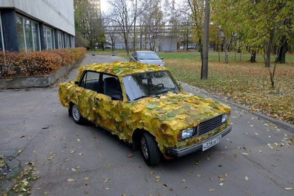 604x403, 79 Kb / жигули, листья