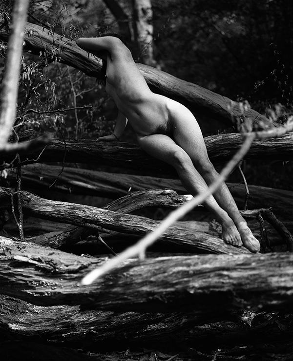 600x741, 260 Kb / ч/б, деревья, голая