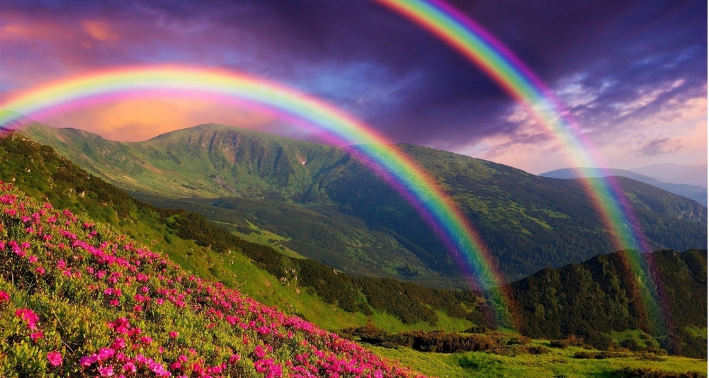 1001x534, 479 Kb / пейзаж, горы, цветы, радуга