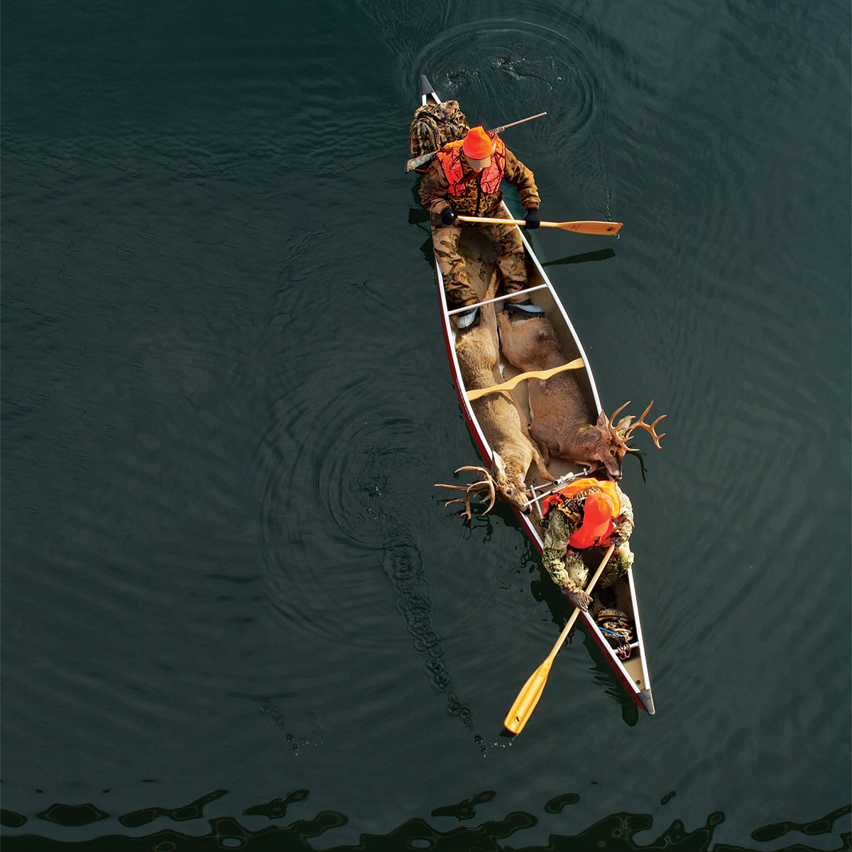 1200x1200, 205 Kb / охотники, лодка, олени