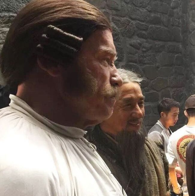 650x653, 58 Kb / стена, актёры, борода, грим, джеки чан, Арнольд Шварценеггер