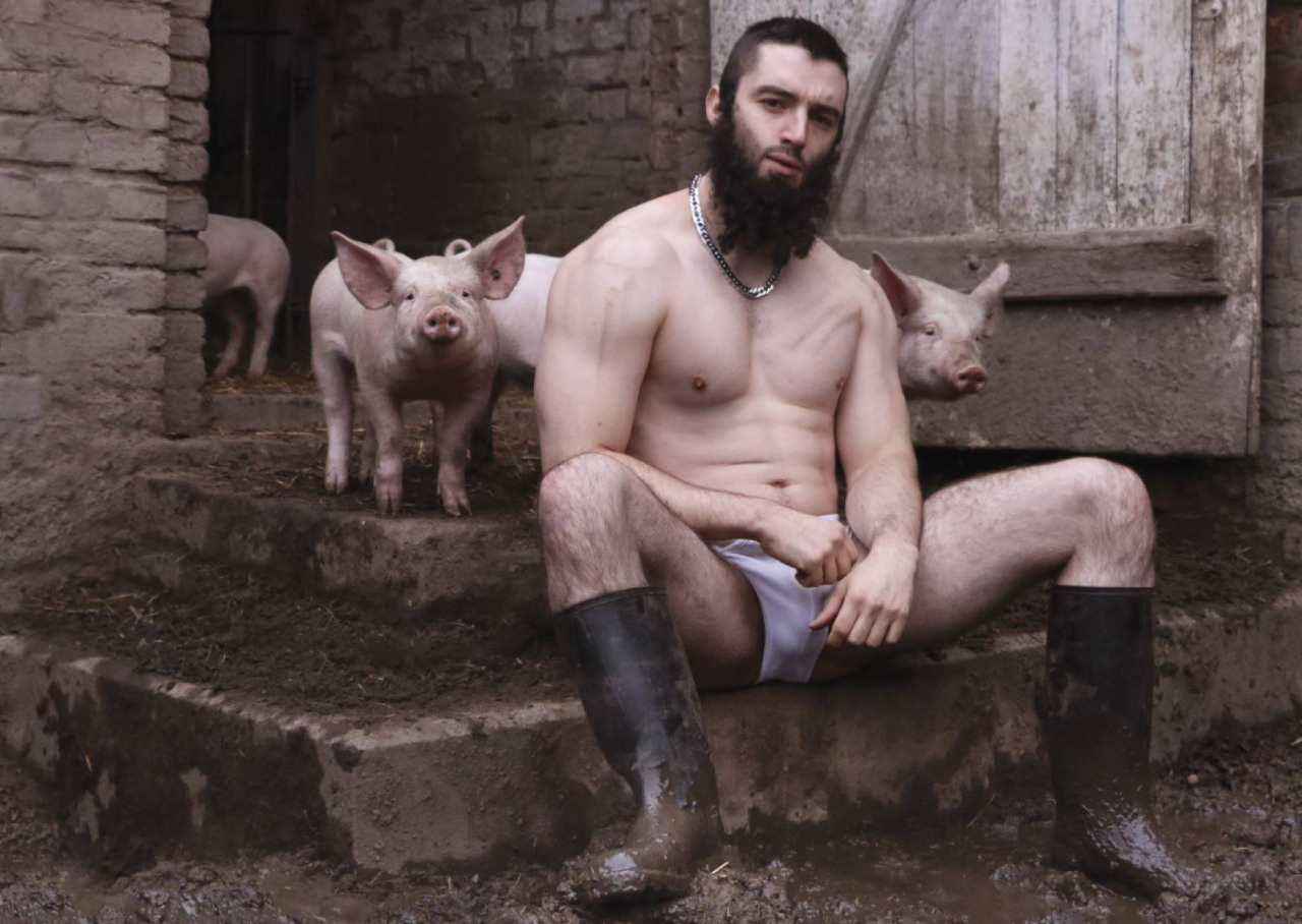 1280x908, 300 Kb / свиньи, хлев, мужик, борода