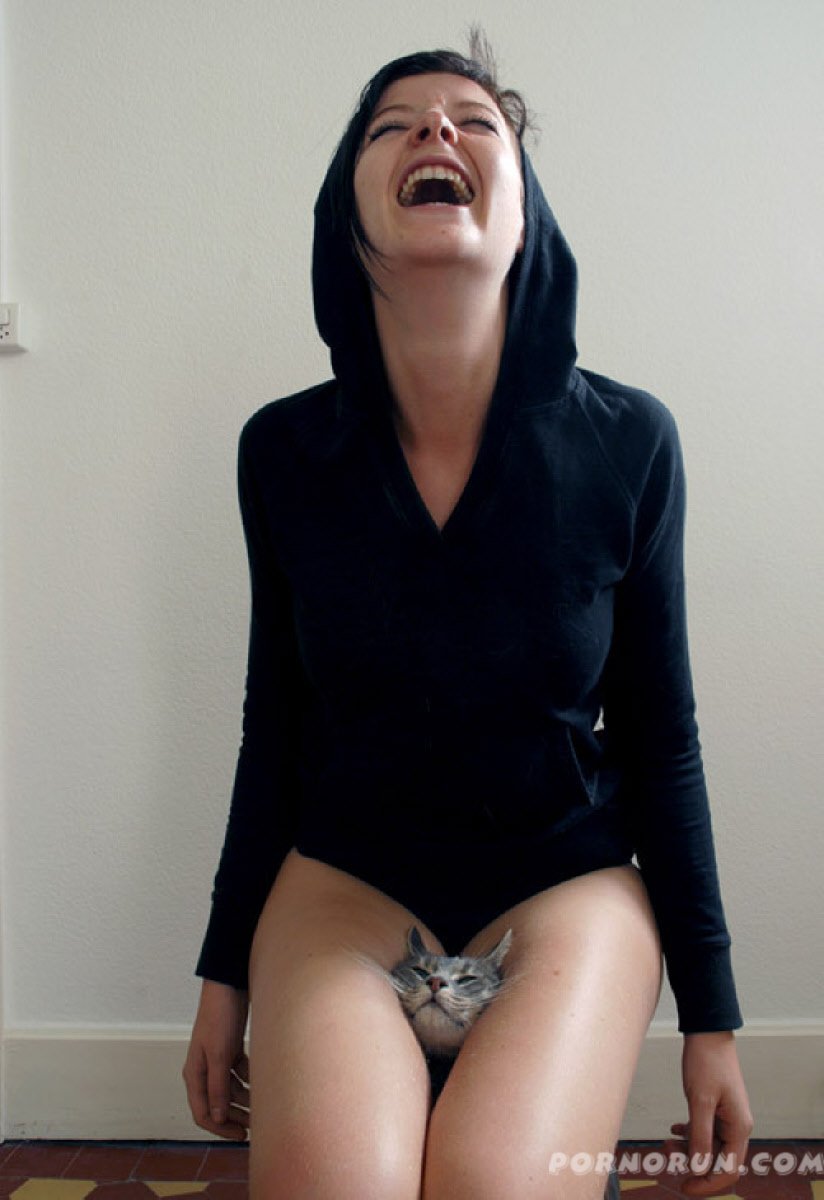 824x1200, 86 Kb / смех, кот