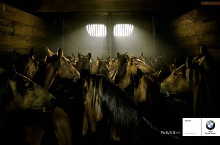 707x467, 40 Kb / лошади, под капотом, BMW