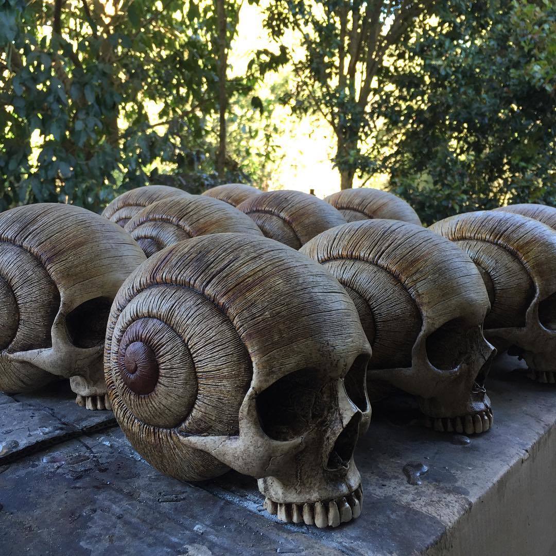 1080x1080, 237 Kb / черепа, улитки