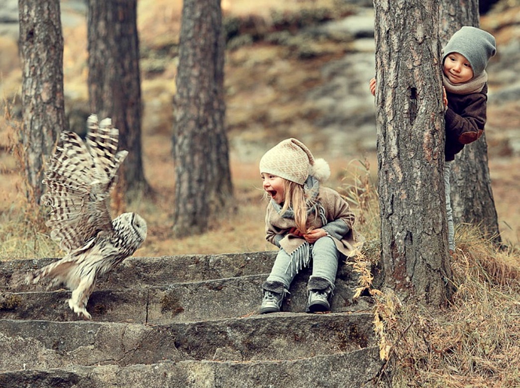 1045x781, 365 Kb / сова, дети, ступени, лес