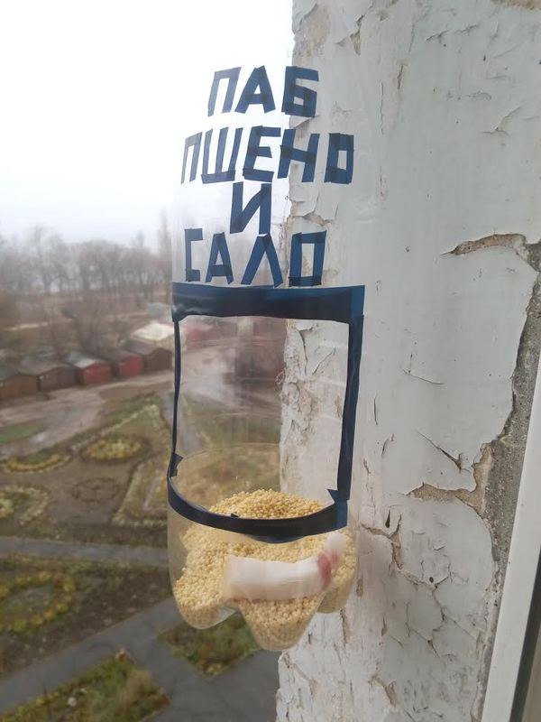 600x800, 60 Kb / кормушка, паб, пшено, сало