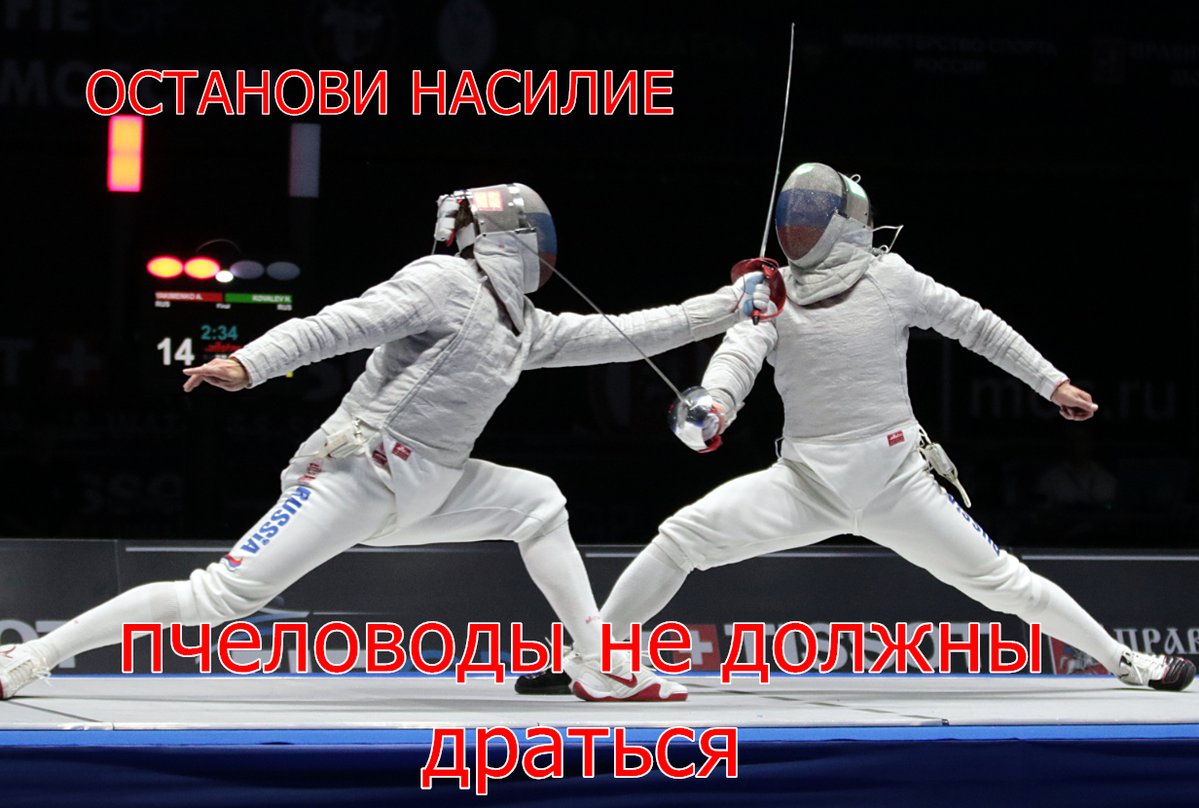 1199x808, 140 Kb / Фехтование, пчеловоды