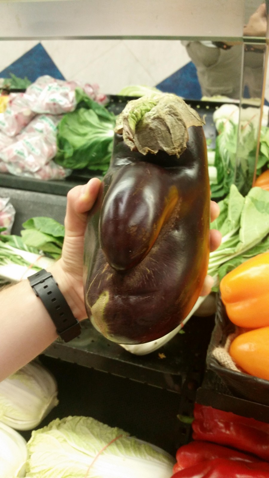 900x1600, 235 Kb / баклажан, капуста, перцы, овощи, морда