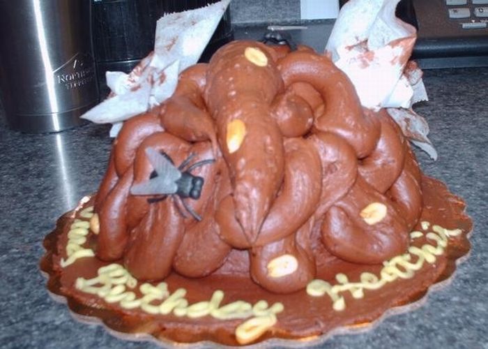 700x500, 61 Kb / торт, цензура, муха, говно