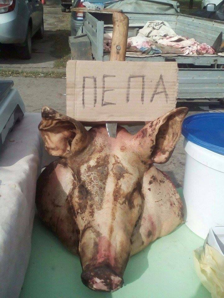 720x960, 93 Kb / свинья, пепа, голова