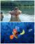 Dory, рыбки, мультфильм, лес, природа, топлес, водоём