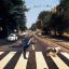 битлз, маккартни, зебра, переход, собака, Paul Is Live, обложка, the Beatles, Abbey Road